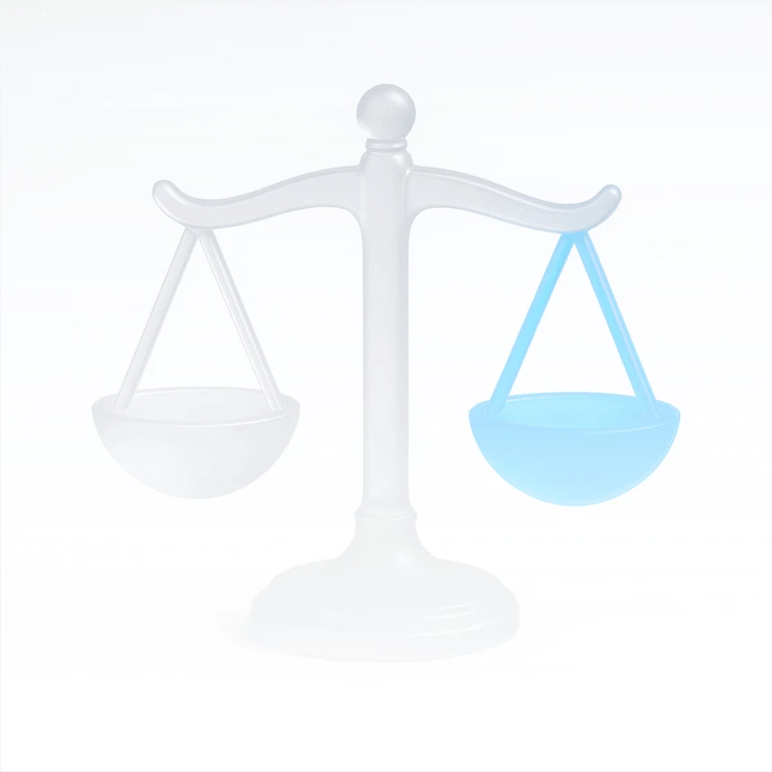 Borrowing & leverage limits